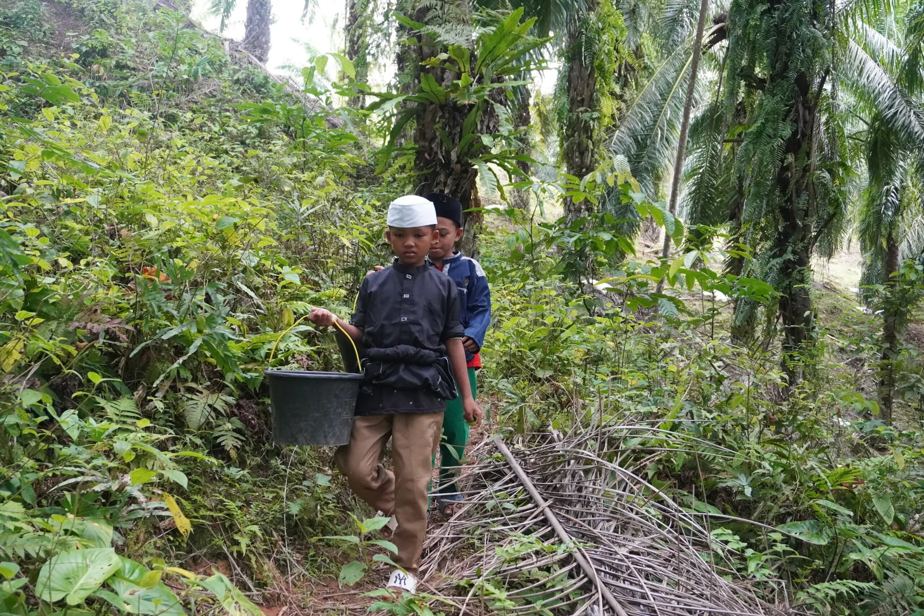 Donasi Umum Yayasan Amal Mulia 4